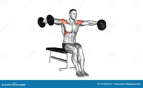 Seated Dumbbell Press Anatomy