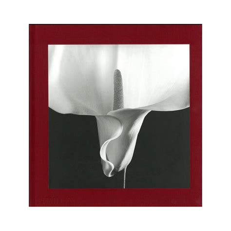 Flora Les Fleurs De Mapplethorpe