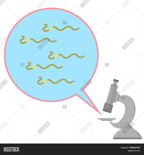 Worms Microscope. Image & Photo (Free Trial) | Bigstock