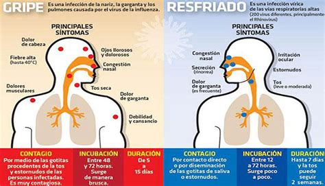 Claudio Concepcion C Mo Saber La Diferencia Entre Gripe Y Resfriado N