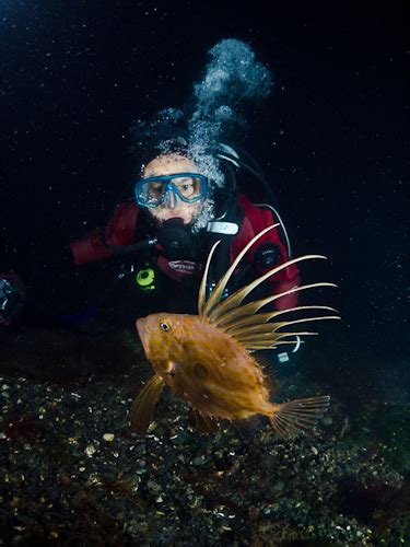 The British Underwater Photography Championship