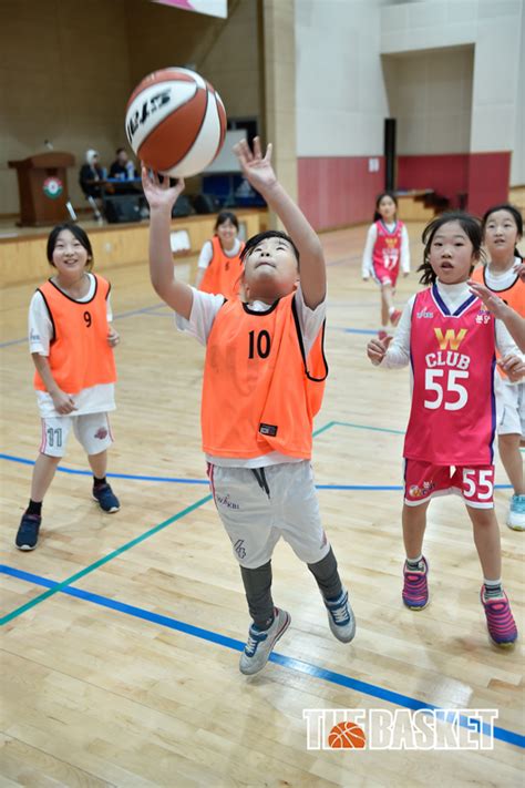 포토 2015 Wkbl 유소녀 농구 클럽 최강전