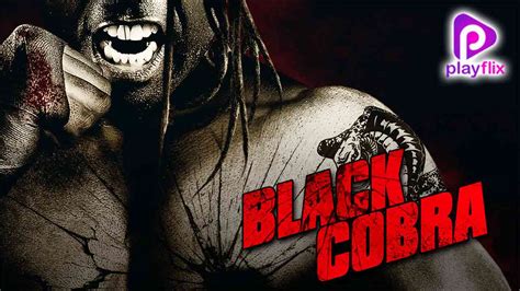 Black Cobra 2012 Full Movie Online - Watch HD Movies on Airtel Xstream Play