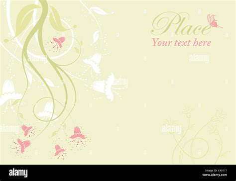 Flower Frame With Butterfly Element For Design Vector Illustration