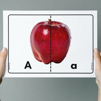 Alphabet Puzzle Game: Self-Correcting Alphabet Puzzles Real Pictures