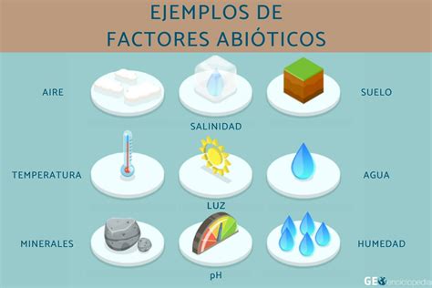 Factores Abióticos Qué Son Características Y Ejemplos Resumen