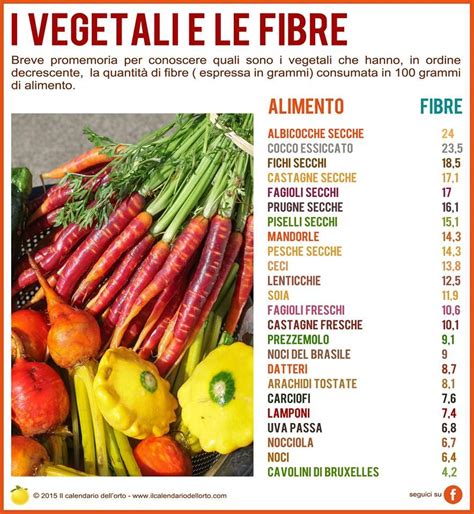 I Vegetali E Le Fibre Nutrizione Alimenti Sani Cibo