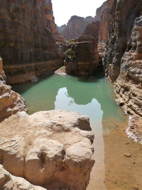 Guelta Dans Le Parc National Du Tassili N Ajjer ALGERIE Paysage