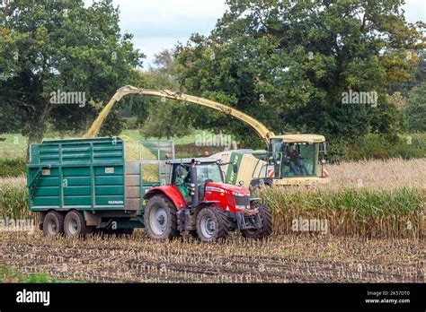 Farmer Agricultural Contractor Farm Worker Using Krone Big X 700 Self Propelled Forage