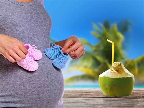 Água De Coco Na Gravidez - 12 Possíveis Benefícios da Água de Coco Durante a Gravidez