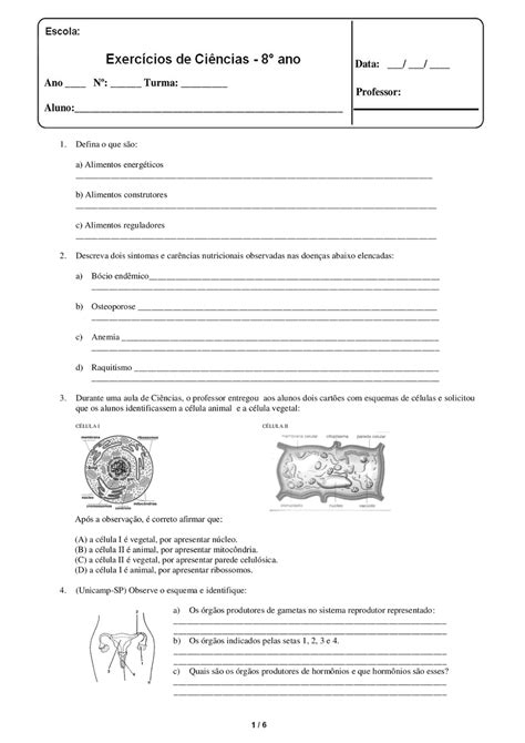 Atividade Ciencias Ano Librain