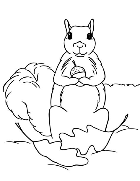 Printable Squirrel Coloring Page Printable Word Searches