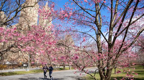 The 13 Best Parks to Enjoy in NYC for 2024 | Best NYC Parks