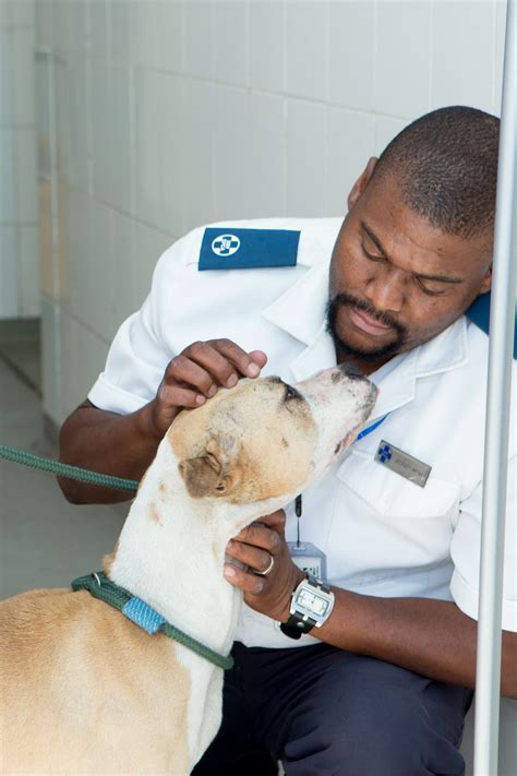 Will Spca Euthanize My Sick Dog