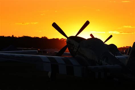 Mustangs At Sunset Aircraft North American P 51d Mustang Flickr