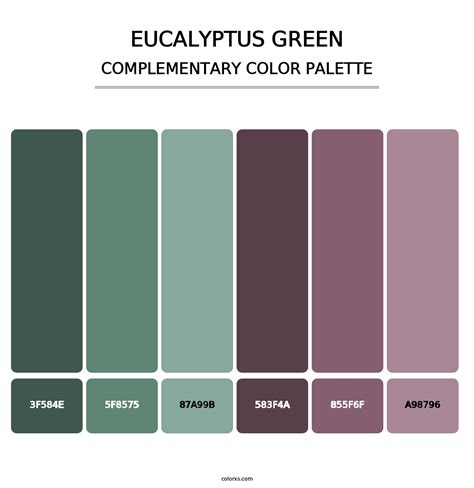 Eucalyptus Green color palettes - colorxs.com