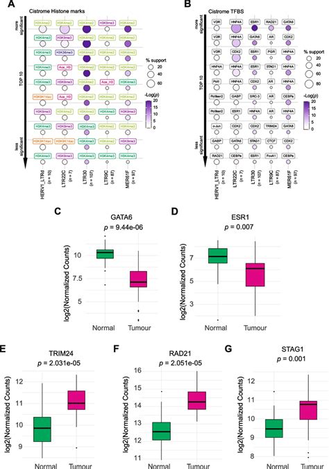 Downregulated Tes Are Associated With Specific Histone Marks And