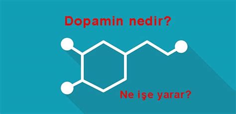 Dopamin nedir Ne işe yarar Eksikliği ne tür sorunlara neden olur