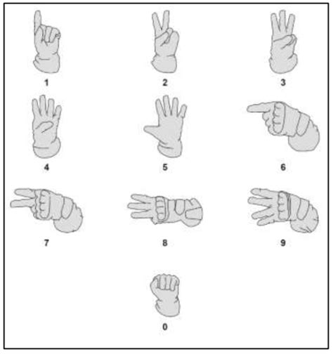 Learn Military Hand Signals - ArmyNavyOutdoors.com