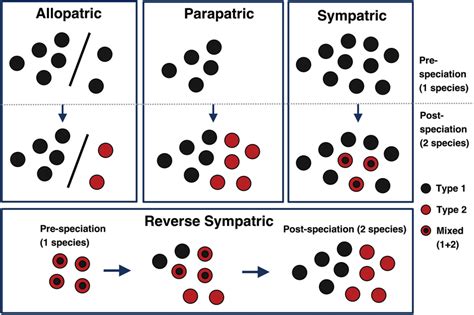 Hypothetical Examples Illustrating Different Geographic Modes Of