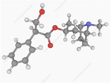 Atropine Drug Molecule Stock Image F0046180 Science Photo Library