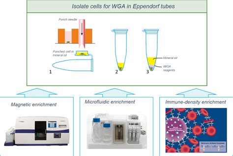 Single Cell Dna Rna Sequencing Vycap