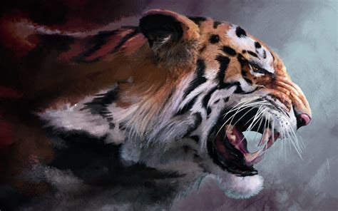 Awesome Tiger Wallpapers Top Free Awesome Tiger Backgrounds