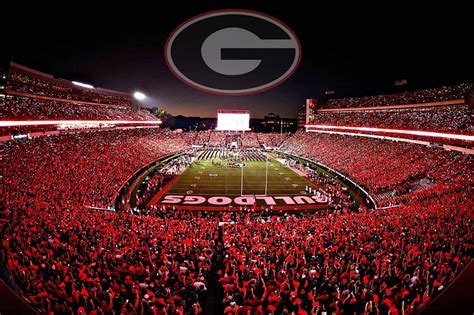 What Are The Georgia Bulldog Colors