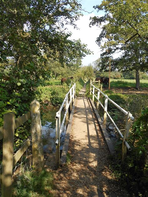 Nature Notes and Observations: Testwood Lakes Nature Reserve - Near