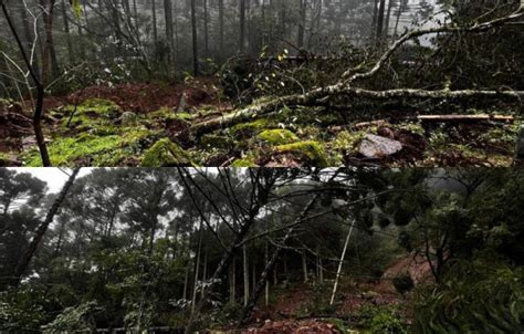 Moradores De Caxias Do Sul Relatam Tremores De Terra Na Madrugada