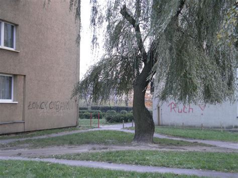 Chorzów II Cwajka Chorzów Opis Dzielnicy Śląskie Miasta