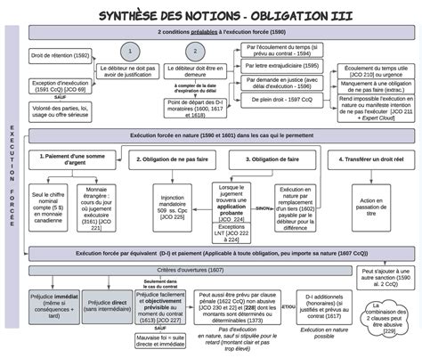 L Ex Cution Forc E Le D Biteur Ne Doit Pas Avoir De Justification Le