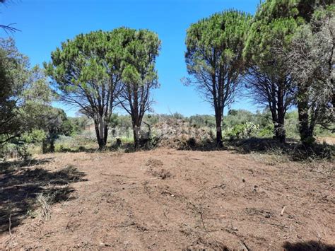 Terreno Agricolo Contrada Campi Castanea Delle Furie Messina Rif