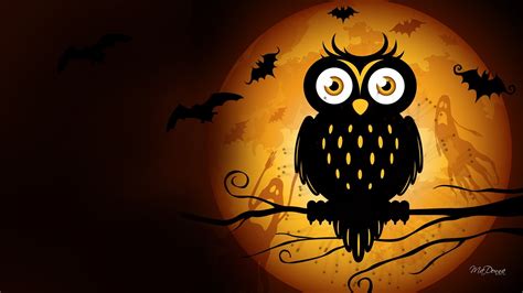 🔥 [50+] Halloween Owl Wallpapers | WallpaperSafari