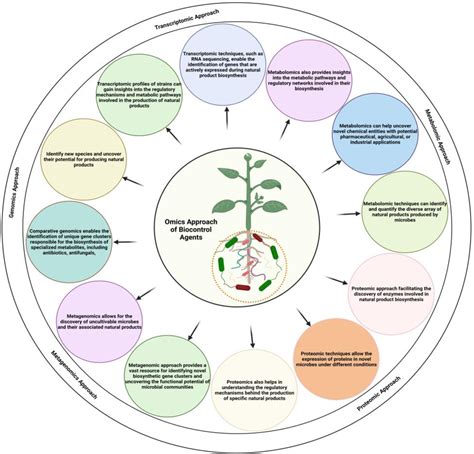 PDF Bacterial And Fungal Biocontrol Agents For Plant Disease