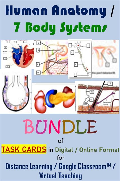 Human Body Systems Digital Task Cards Mega Online Bundle For Distance Learning Teaching