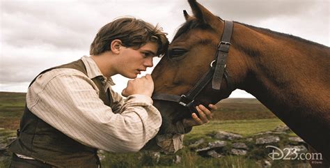 War Horse Albert