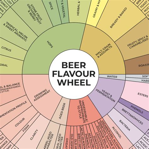 Beerdredge Flavour Wheel Poster A2 Ultimate Beer Tasting Tool