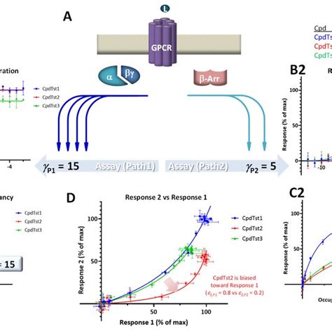 Illustration Of Biased Agonism With Response Data For Two Different