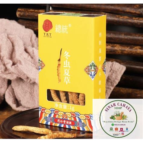 Jual Dong Chong Xia Cao Cordyceps Beijing Tong Ren Tang Gram