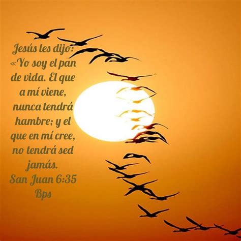 San Juan 6 35 Jesús les dijo Yo soy el pan de vida El que a mí viene