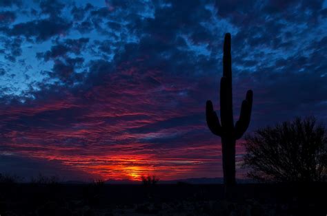 Arizona Night Wallpapers Top Free Arizona Night Backgrounds