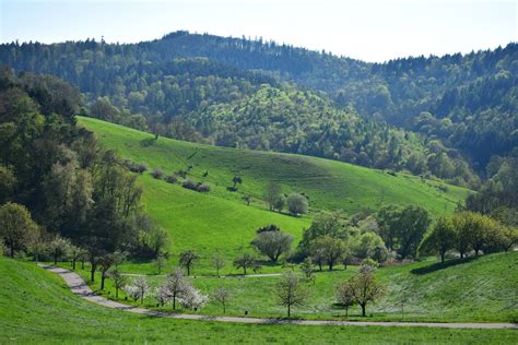 Ber Feld Und Flur Weidewanderung Geo Naturpark Bergstra E Odenwald