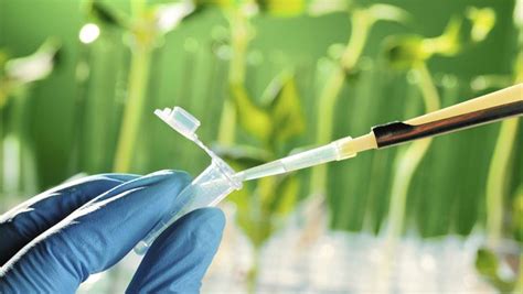 pengertian jenis  contoh bioteknologi ilmu pengetahuan dasar