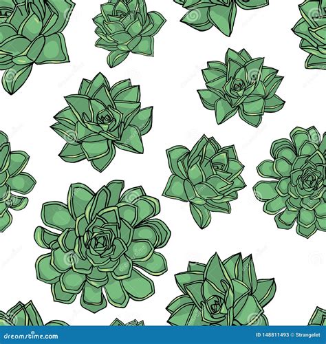 Houseleek Illustration Drawing Engraving Ink Line Art Vector