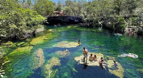 ️ Jardín Del Edén Cenote, Playa del Carmen | 2024 Guide