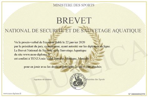 Brevet National De Securite Et De Sauvetage Aquatique