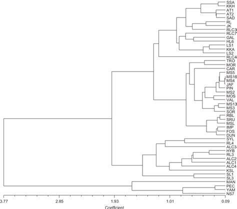 Upgma Dendrogram Based On Euclidean Distance Coefficient Of 50