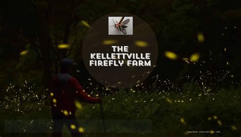 Kellettville Firefly Farm | Visit PA Great Outdoors