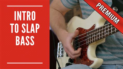 Introduction To Slap Bass The Bassist